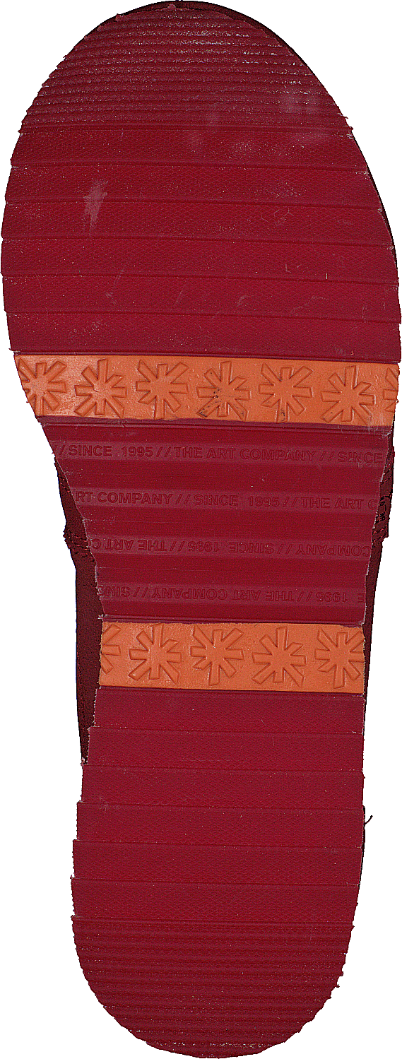 Kioto Coral