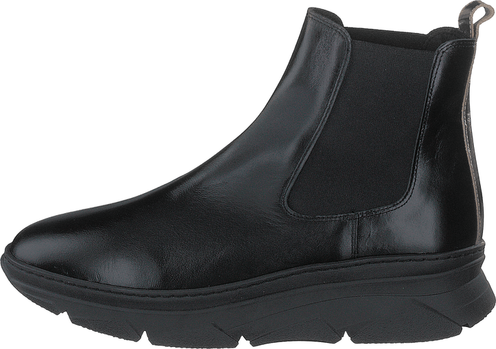 Quingo Negro Oasis Negro + Gold