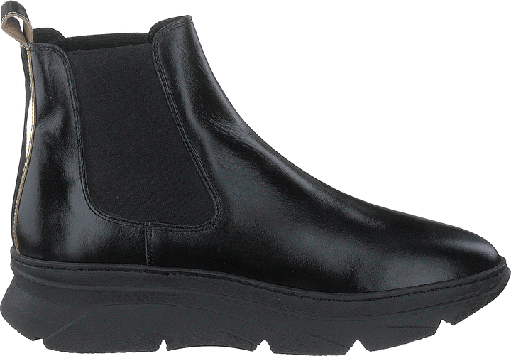Quingo Negro Oasis Negro + Gold