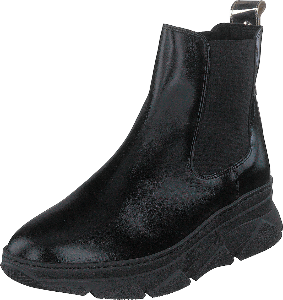 Quingo Negro Oasis Negro + Gold