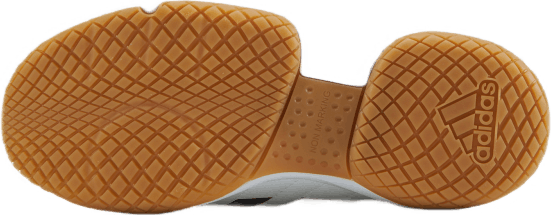 Ligra 7 Indoor Shoes Ftwr White