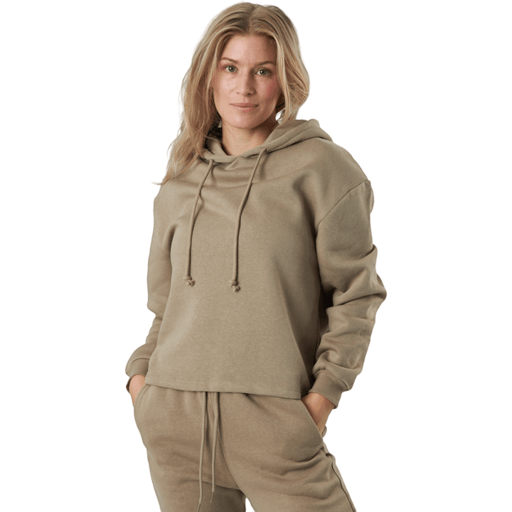 Pcchilli Ls Hoodie Noos Bc Silver Mink