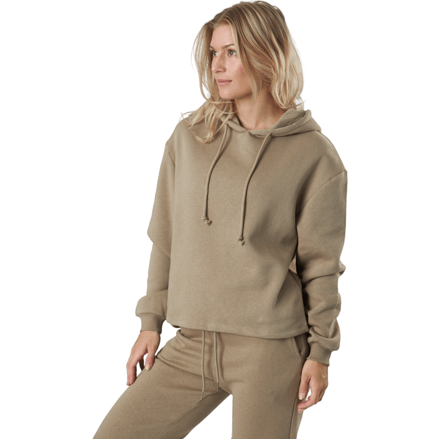 Pcchilli Ls Hoodie Noos Bc Silver Mink