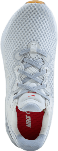 Nike Renew Run 2 Platinum Tint/summit White-sum