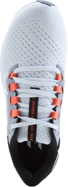 Air Zoom Pegasus 38 Dam Ru Iris Whisper/white-provence Pu