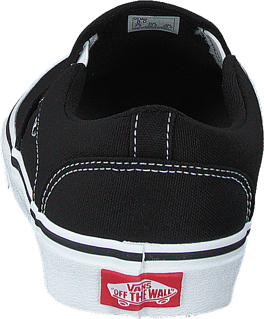 Mn Asher (toile) Noir/blanc