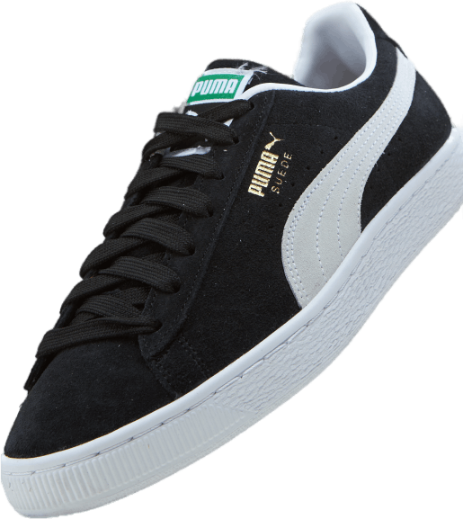 Ruskind Classic XXI