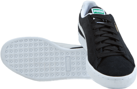 Ruskind Classic XXI