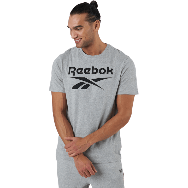Ri Big Logo Tee Mgreyh/black