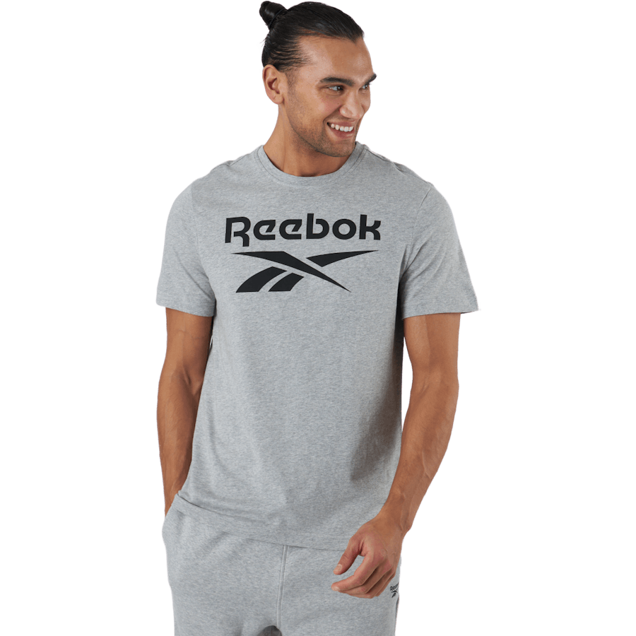 Ri Big Logo Tee Mgreyh/black