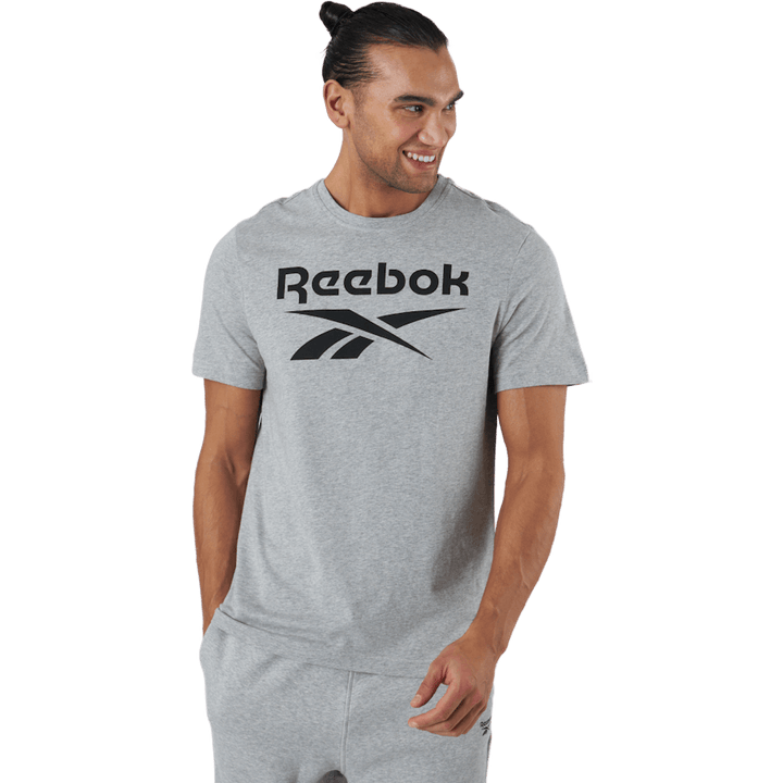 Ri Big Logo Tee Mgreyh/black