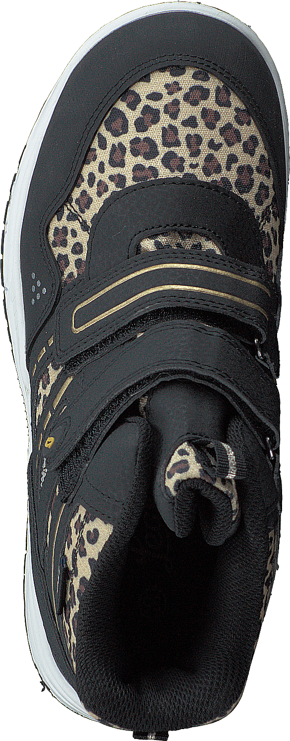 Kasurileopard