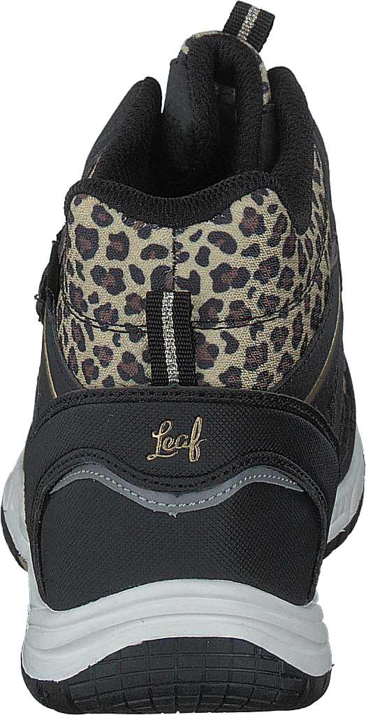 Kasurileopard