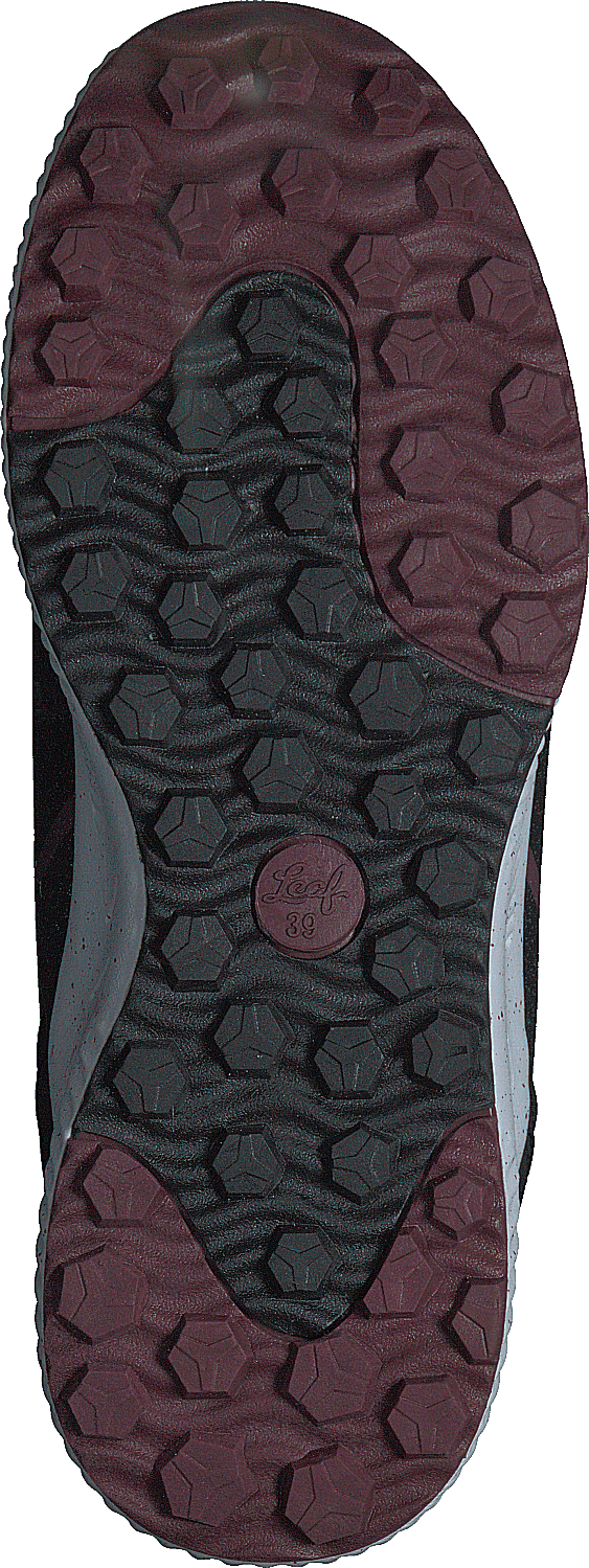 Lavia Blacklilac