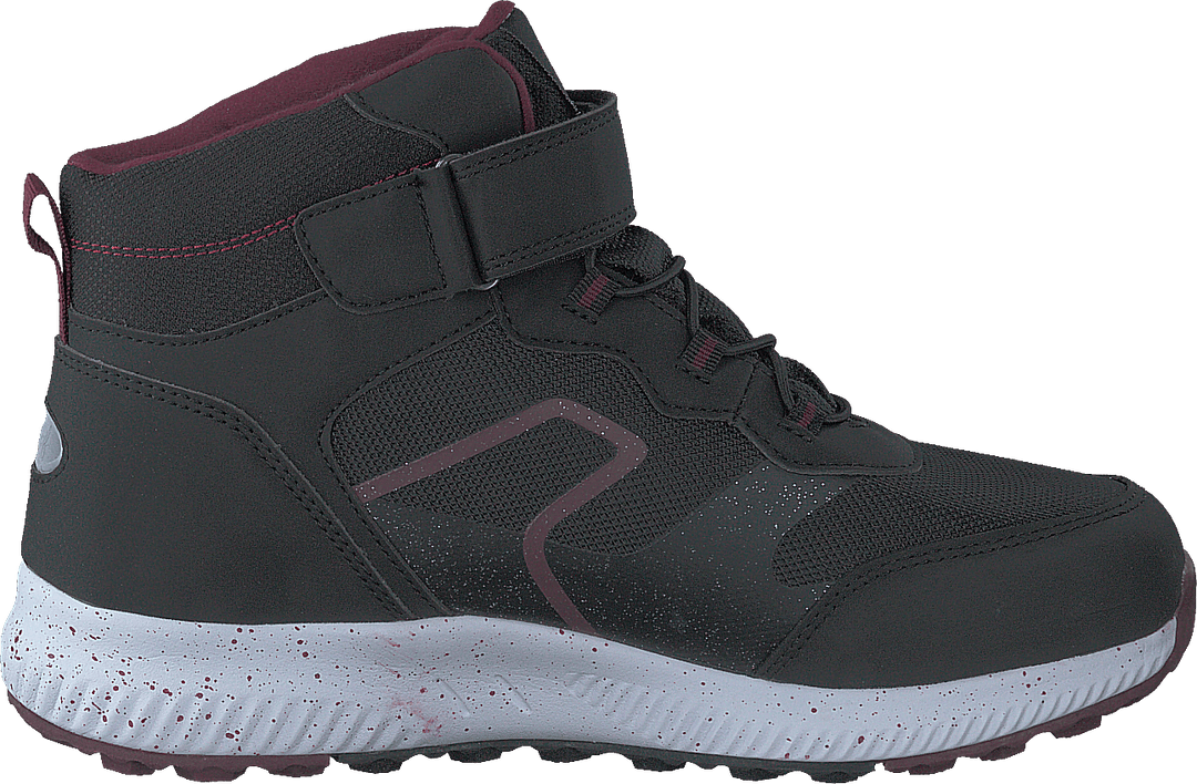 Lavia Blacklilac