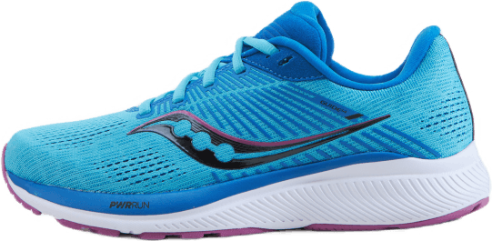 Guide 14 Blue Blaze/berry