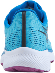 Guide 14 Blue Blaze/berry