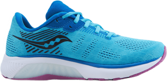 Guide 14 Blue Blaze/berry