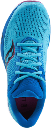 Guide 14 Blue Blaze/berry