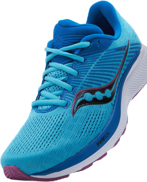 Guide 14 Blue Blaze/berry