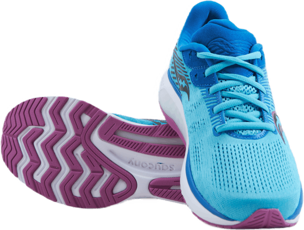 Guide 14 Blue Blaze/berry