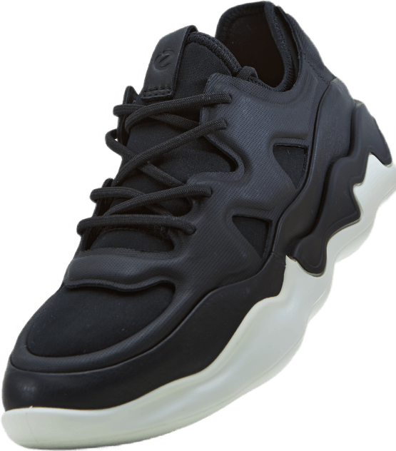 Ecco Elo W must/must