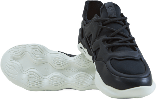Ecco Elo W must/must