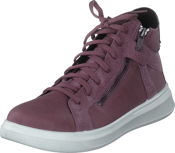 Cosmo Purple