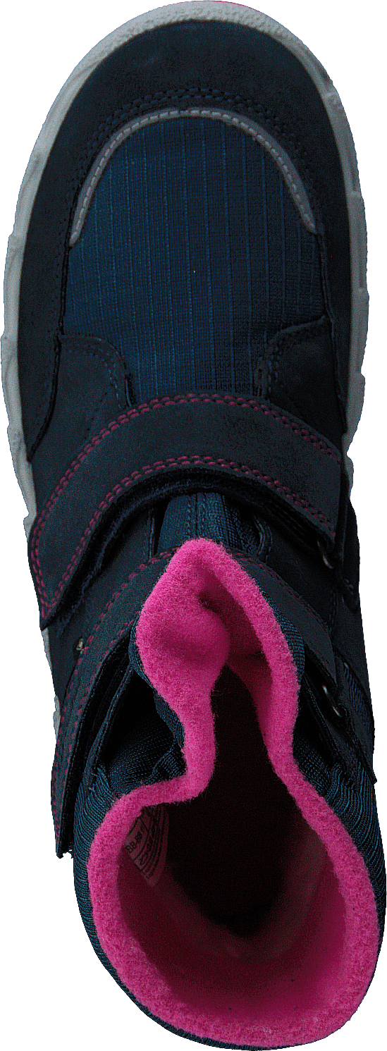 Icebird Blue/pink