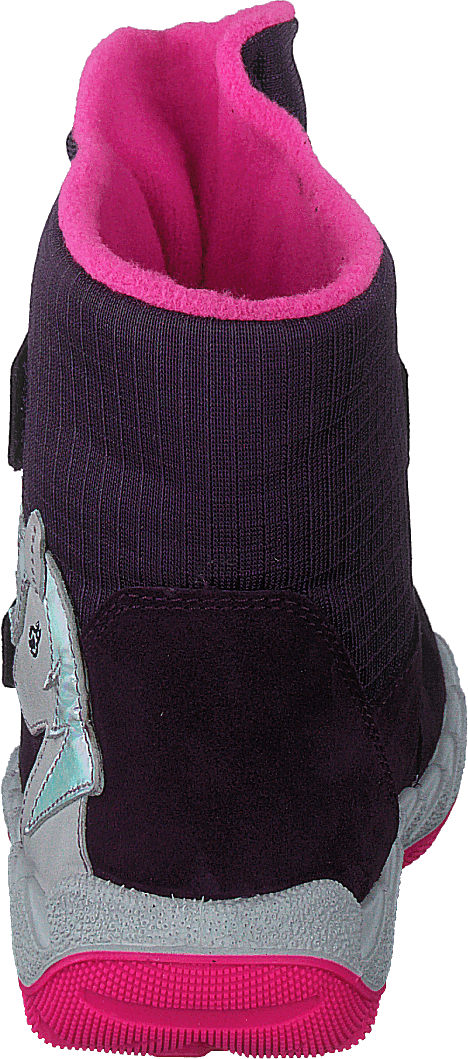 Icebird Purple/pink