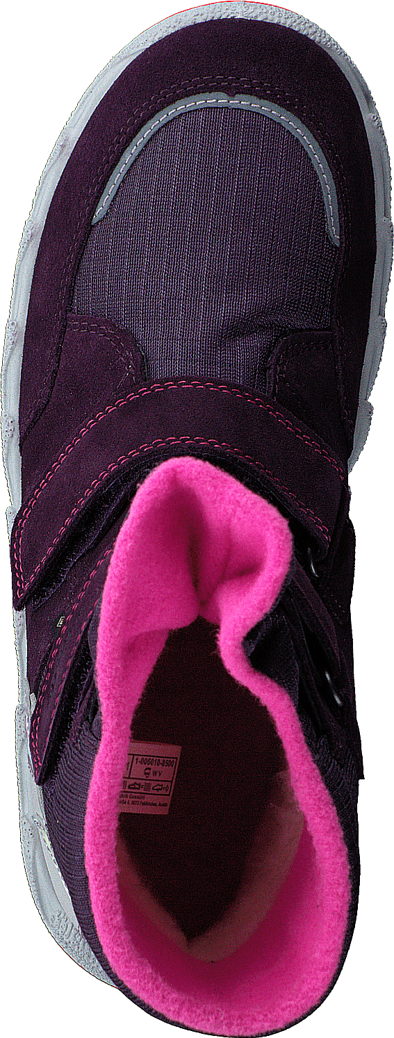 Icebird Purple/pink