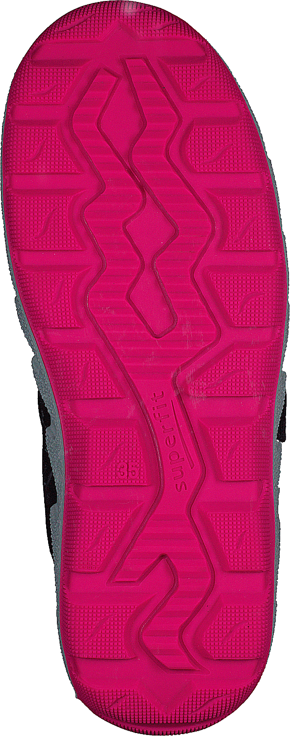 Icebird Purple/pink