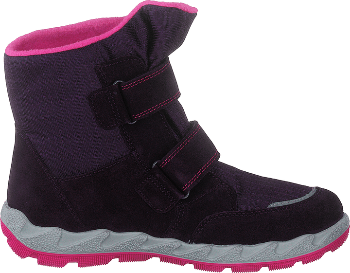 Icebird Purple/pink