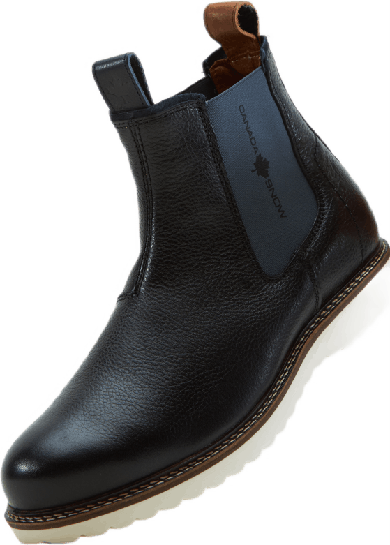 Williams Black