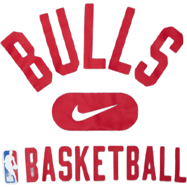 Bulls Dri-fit tee Dk