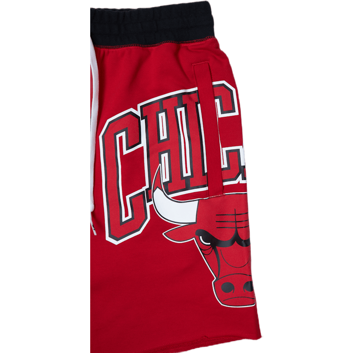 Bulls Courtside Pile Sh University bla