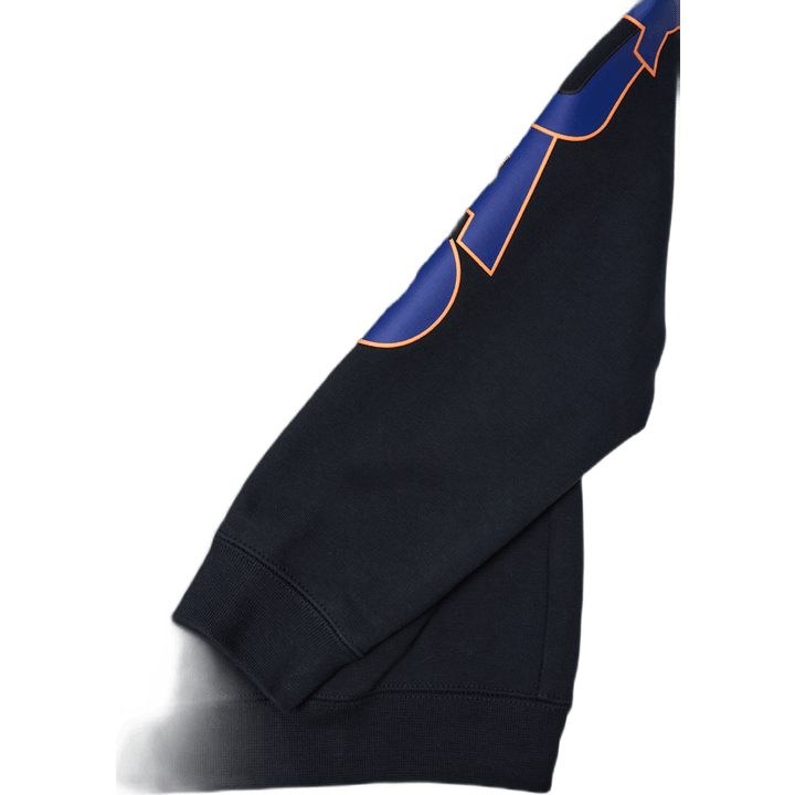 LeBron X Space Jam 2vtune