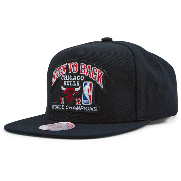 Bulls 1991-92 Back To Back Champs HWC