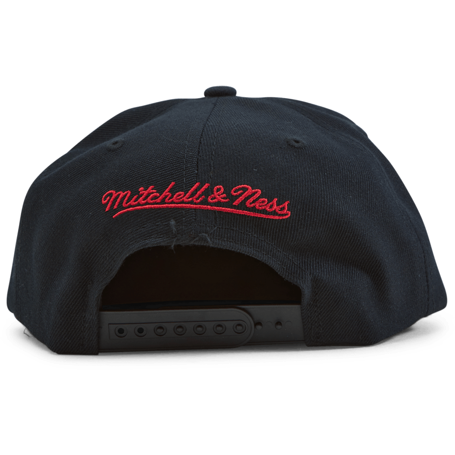 Bulls 1991-92 Back To Back Champs HWC