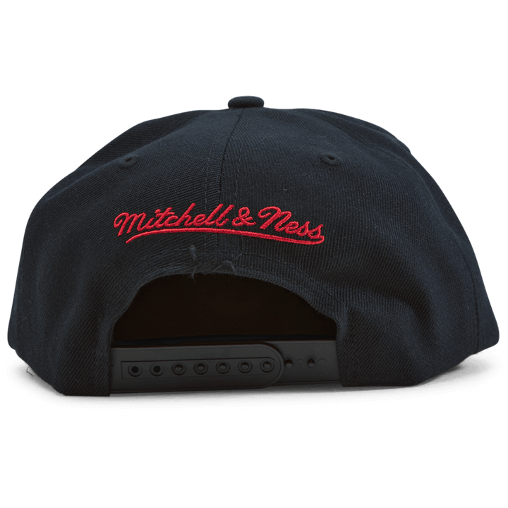Bulls 1991-92 Back To Back Champs HWC