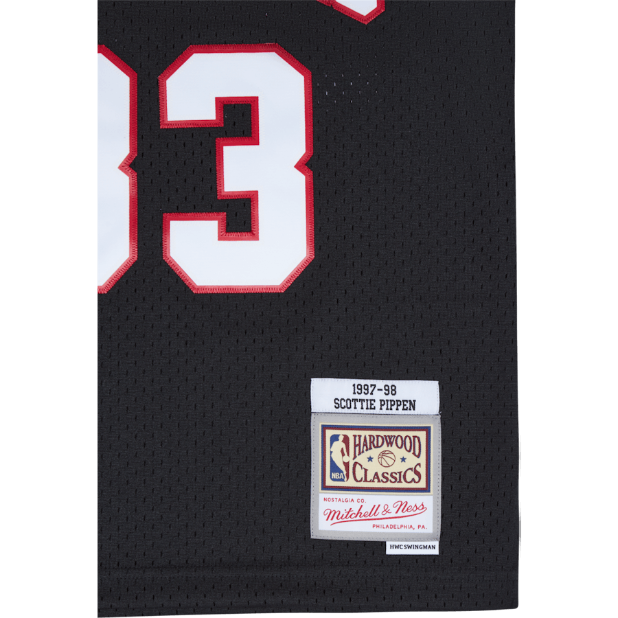Swingman Jersey - Pippen