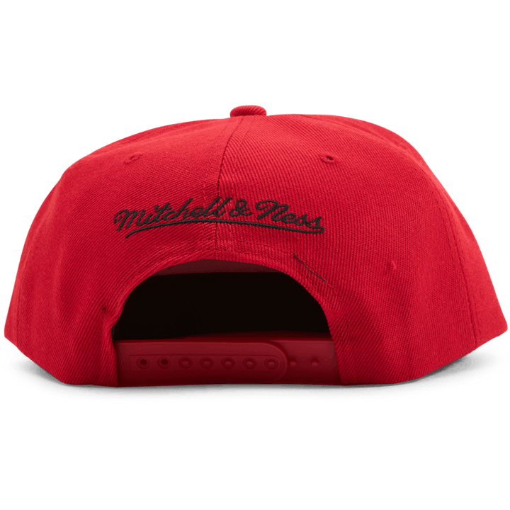 Casquette Snapback Bulls The Champs