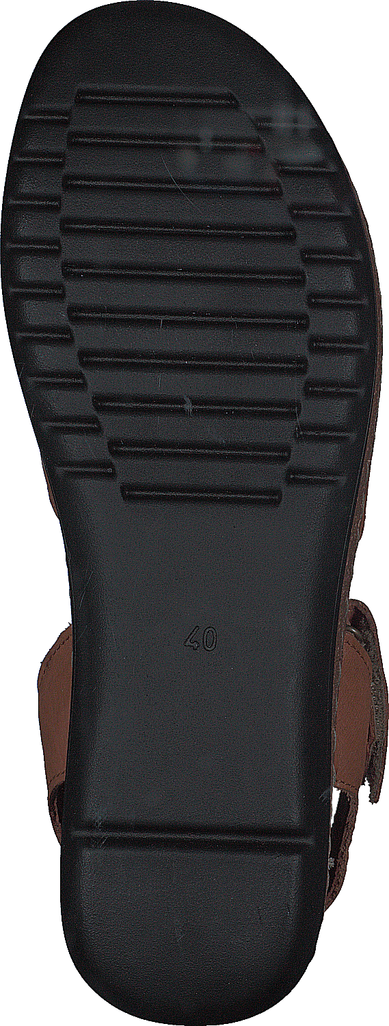 483-5416 Cognac