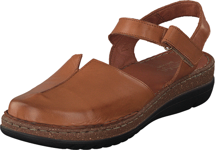 483-5416 Cognac