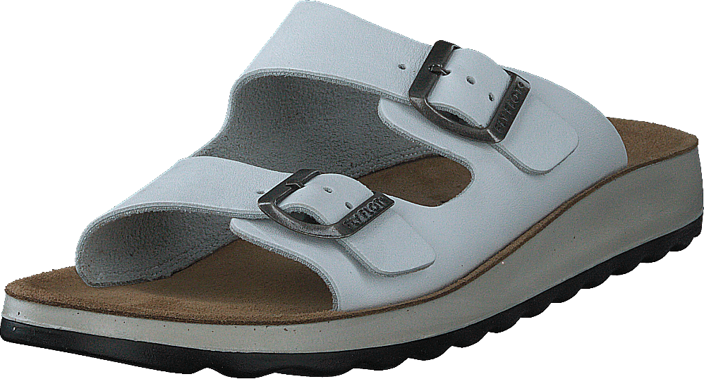 484-7764 White