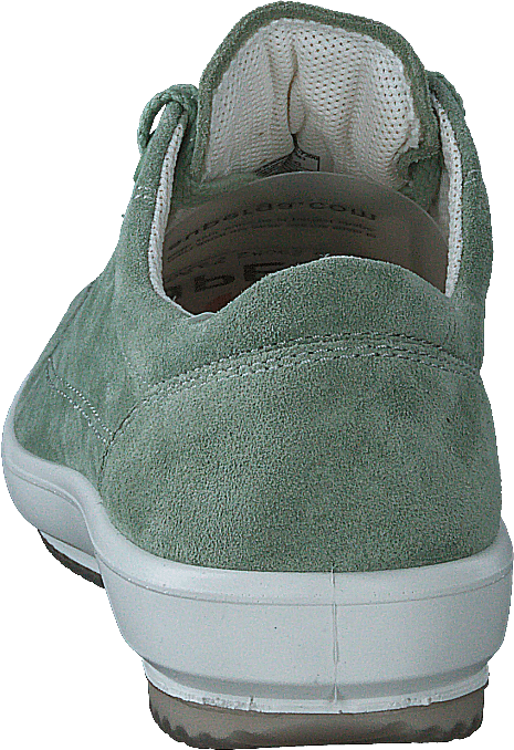 Tanaro 5.0 Green