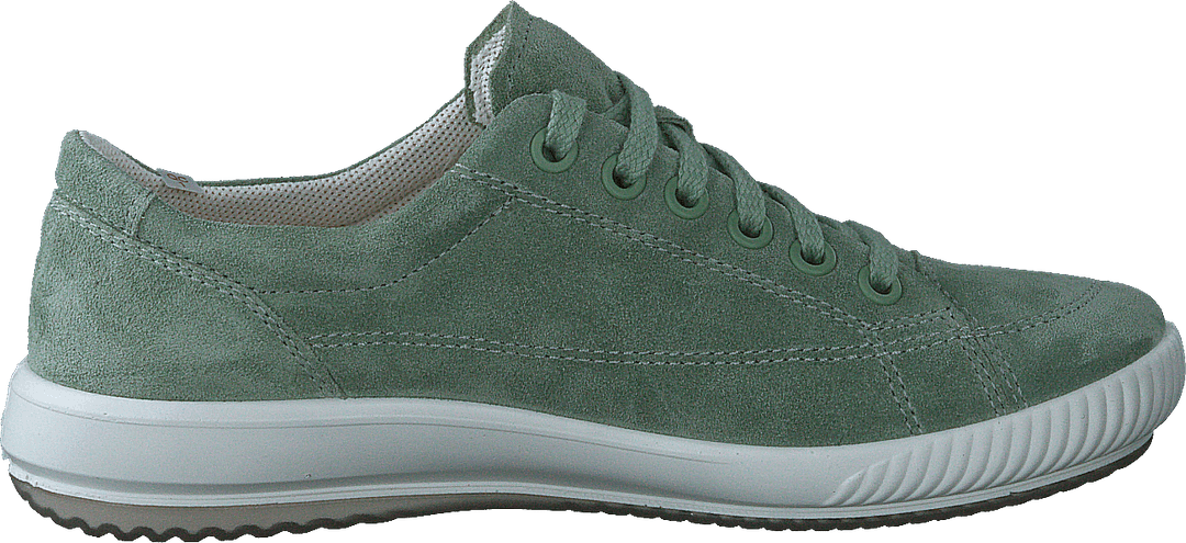 Tanaro 5.0 Green