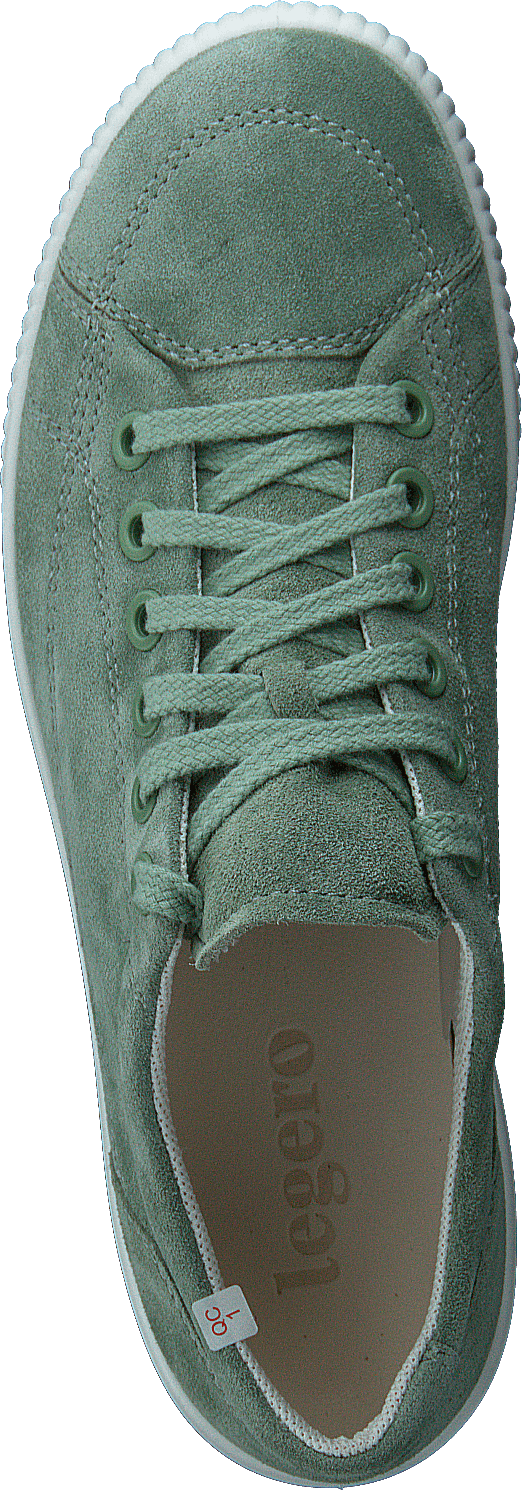 Tanaro 5.0 Green