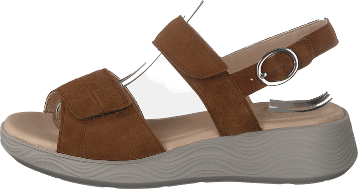 Swing Brown
