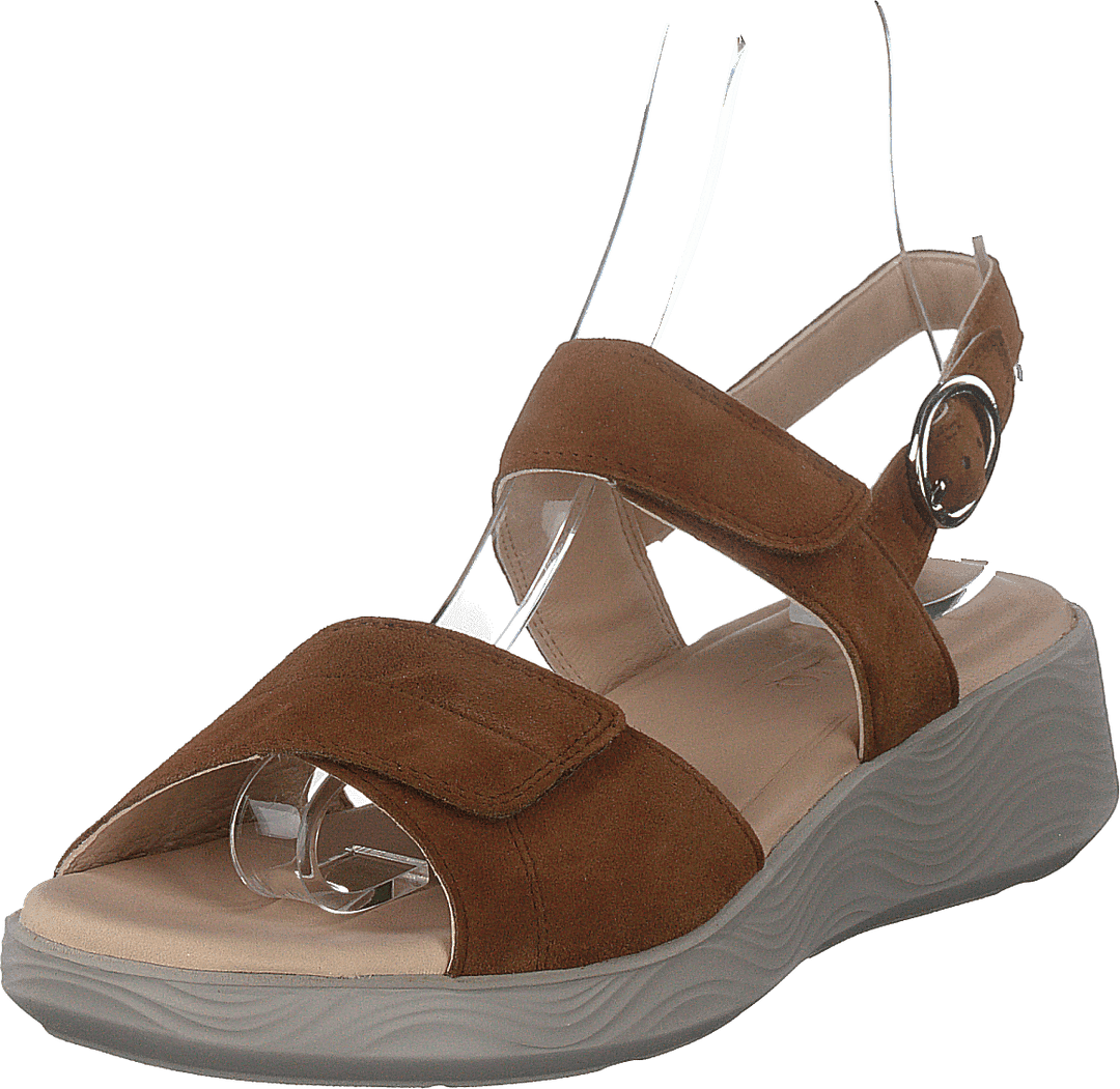 Swing Brown